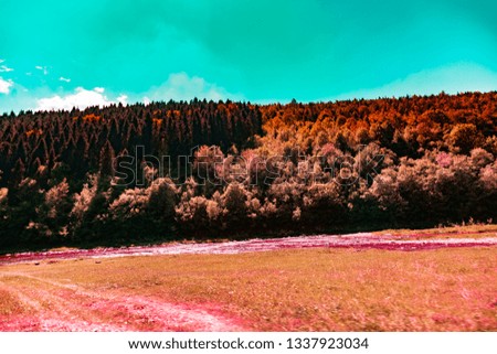 Landscape view of a mountain river with red vegetation trees bushes and grass and blue sky changed colors