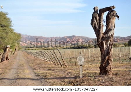 Beautiful view of vineyards with mountains behind and a speed sign, taken in Salta, Argentina.