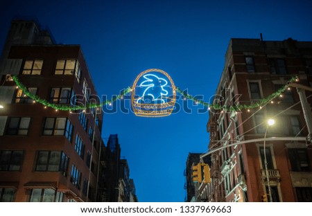 Neon eastern rabbit at night on the street in Little Italy district, New York