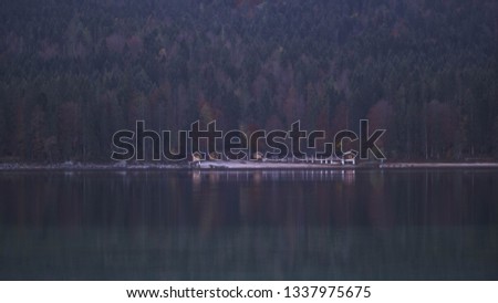 beautiful reflection at the lake eib