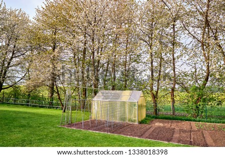 Greenhouse in the garden with cherry blossom trees in the background.