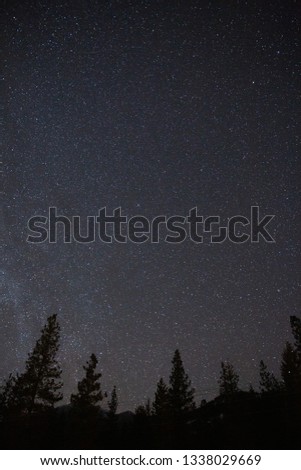 astrophotography starry night sky with trees silhouetted