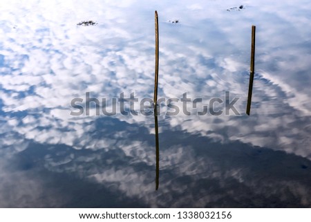 an abstract image from the reflection of cloudy sky on the water