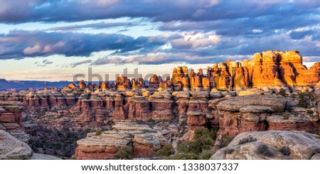 Moody clouds above colorful golden lit needles in Elephant Canyon in the Needles District of Canyonlands National Park. Royalty-Free Stock Photo #1338037337