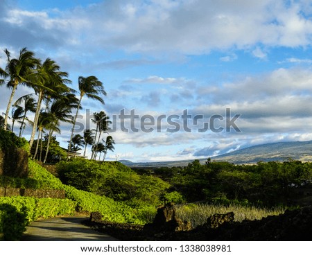 Hiking path with palm trees and mountains on the Big Island of Hawaii.