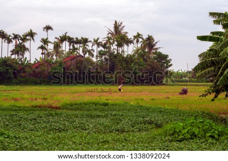 Scenery of Vietnamese villages and beaches