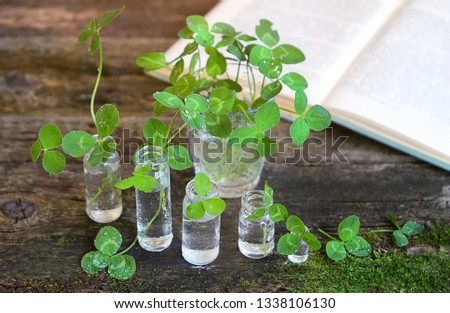 Shamrock leaves in glass bottles on wooden background. Clover leaves, symbol of St. Patrick's day in Ireland. spring or summer season.