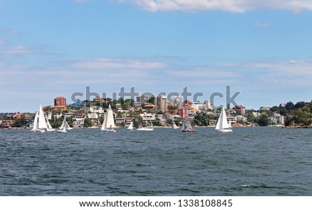 Sailing boats out on Sydney Harbour near a beach front suburb in Sydney, New South Wales, Australia.