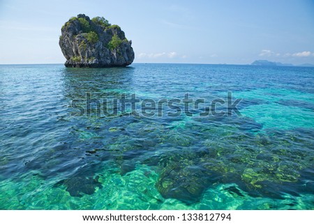 Colorful shallow water coral reef.