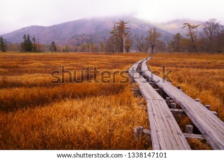 Autumn Oze National Park ij Japan