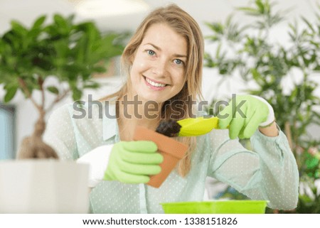 woman caring of her small kitchen garden at home