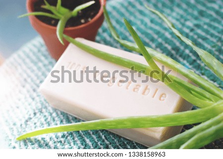 Bar of soap with the english writing "100 percent vegetable". Vegan, handmade soap in natural light. Plant based beauty and cosmetics. Cleansing bar with fresh, green aloe plant. Cruelty free formula.