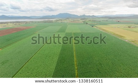 Ariel view of agricultural crop rows of farm land with mountains and dam in back ground, Australia.