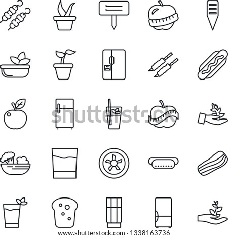 Thin Line Icon Set - seedling vector, plant label, diet, fridge, drink, phyto bar, salad, bacon, bread, kebab, hot dog, apple fruit, fan, palm sproute