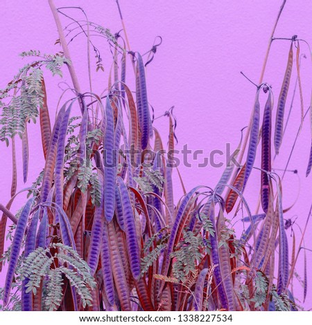 Plants on pink concept.  Colours fashion design. Plant lover art