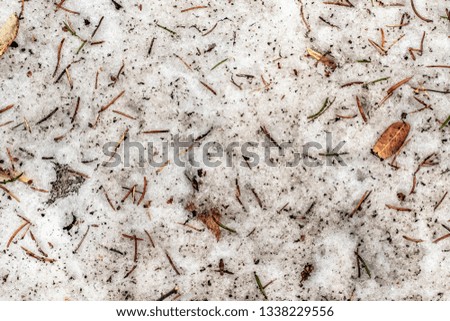 dirty snow in the forest as background