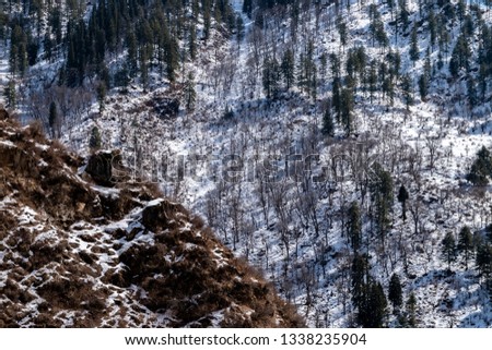 Picture Taken In A Sunshine Day During Winter In Barshaini, Himachal Pradesh