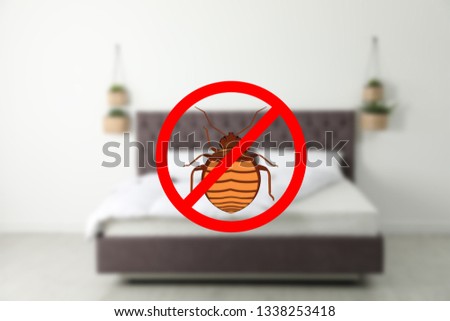 Modern clean mattress without bed bugs in room