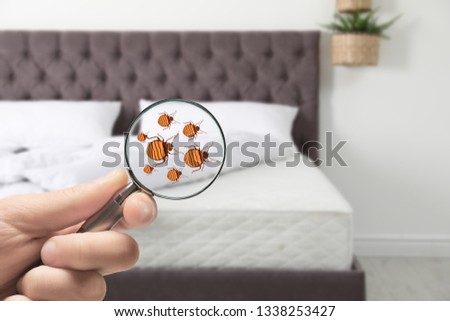 Woman with magnifying glass detecting bed bugs on mattress, closeup. Space for text 