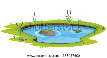 Natural pond outdoor scene Royalty-Free Stock Photo #1338257450