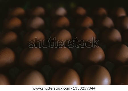 An Egg in a egg containers. Selective Focus