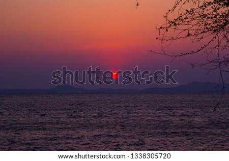 Beautiful sunset on the sea with branches and purple color silhouette sky background