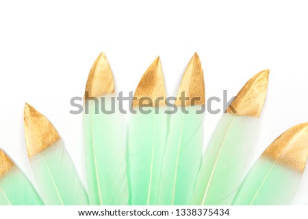 Mint green feathers with gold glitter background. Fantasy or fashion concept. Flat lay, top view.