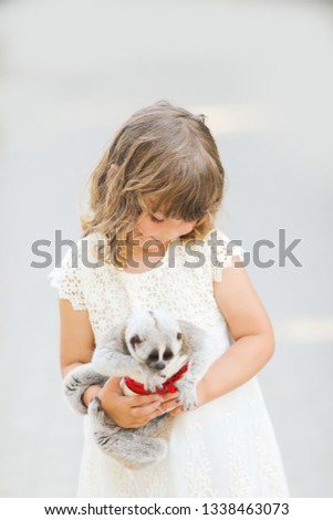 Making photo of exotic animals. Little girl with lory lemur in the zoo