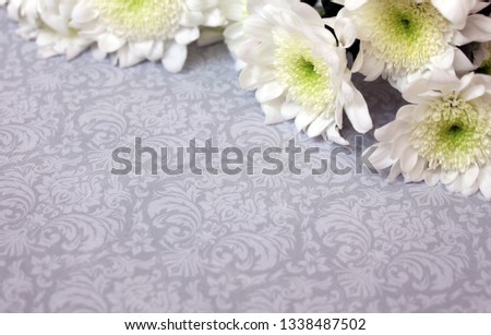 
White flowers on a gray background