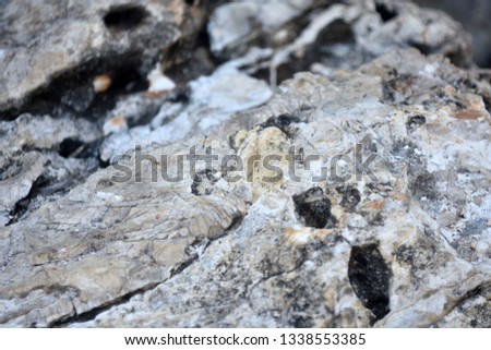 Beautiful texture of the black white stone is photographed in close-up. Details of rock nature texture.