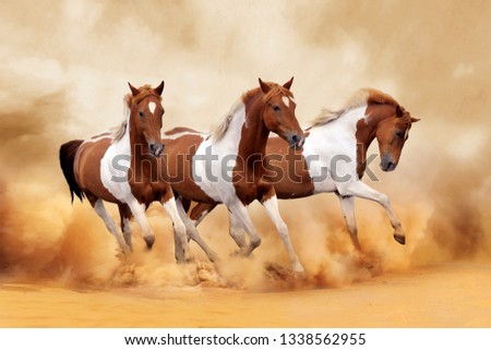 Running horses is symbolizes success and power Royalty-Free Stock Photo #1338562955