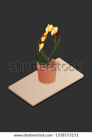 Isometric plants in pot on table. 3d plants for design of a living room or office. Vector illustration.