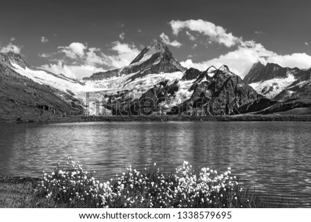 Morning reflection view on Bernese range above Bachalpsee lake. Popular tourist attraction. Location place Swiss alps, Grindelwald valley, Europe. Artistic picture.