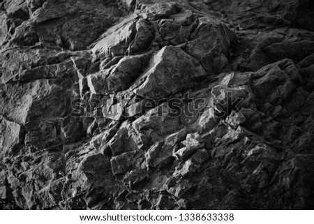 Texture of stone for background. Black and white photography