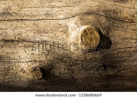 texture of forest wood without bark mystical natural patterns fantasy background for design environment concept