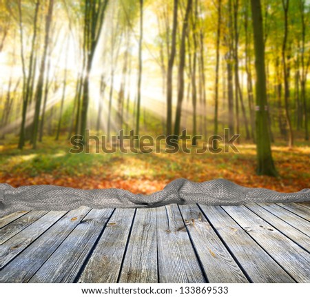 Old wooden table in autumn forest