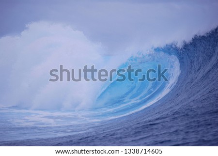 the bleu wave 