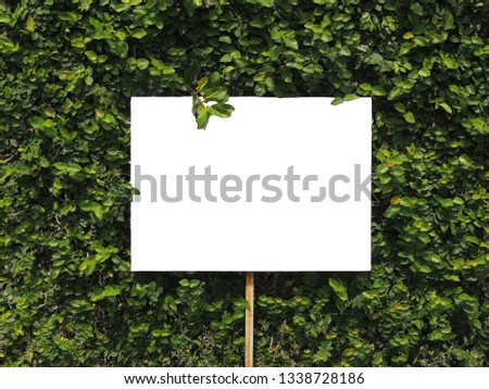           Billboards with leaves