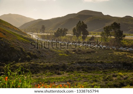 The parking lot road for the Lake Elsinore Walker Canyon hills of golden poppies, Spring 2019