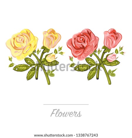 Vector flowers. Nature. Roses.