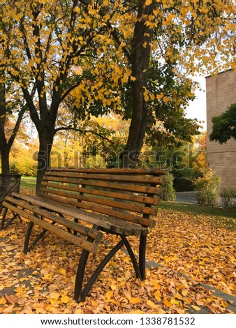 Wooden bench in the autumn park