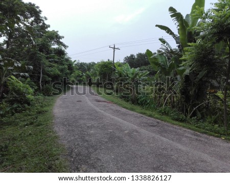 This is a rural road picture.This is nice road picture with nature 