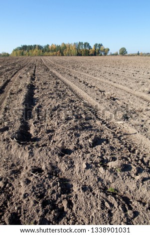 Rich brown plowed field with tractor tracks on a sunny autumn day, Latvia