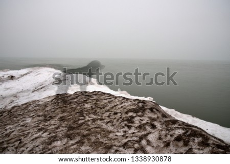 Ghost dog appears in foggy cold photograph of frozen beach.