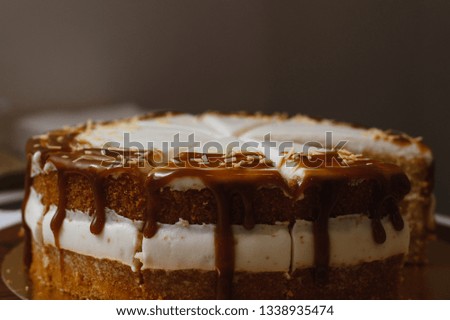 delicious cake with chocolate smudges and delicious cream on a plain background. Chocolate cake with white cream and brown icing. Picture for menu or pastry catalog
