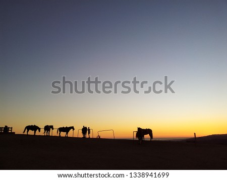 Horse Silhouette On Sunset Background