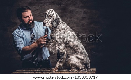 Middle-aged hunter combing his purebred English Setter who sitting on a wooden pedestal. Studio photo against a dark textured wall