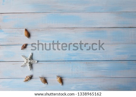 Seashells and star on blue wooden background as vacation concept with copy space