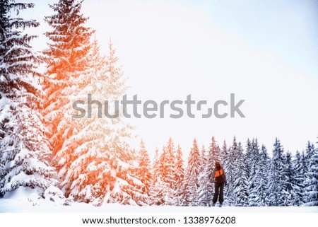 Winter season on a public mountain resort. Landscape, winter magic and ski slopes