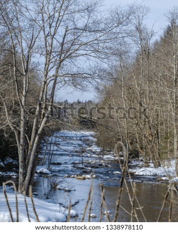 Adirondack winter. Stream, snow, trees. 